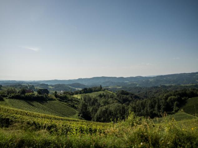 Glanz an der Weinstraße Mahorko Wein Wellness Wasserbueffel מראה חיצוני תמונה