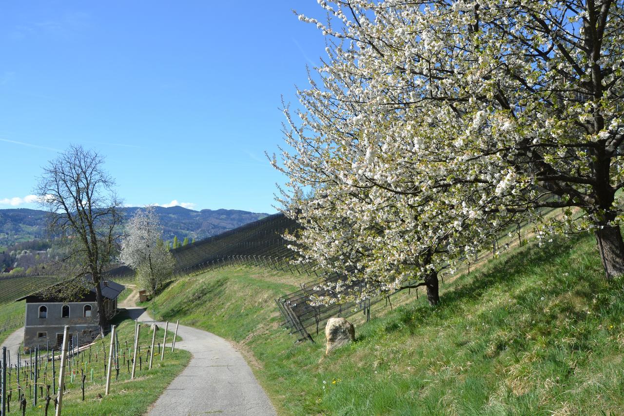 Glanz an der Weinstraße Mahorko Wein Wellness Wasserbueffel מראה חיצוני תמונה